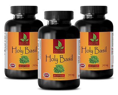 Immune loss Mood enhancer - HOLY BASIL EXTRACT 745MG 3B - basil herb plant
