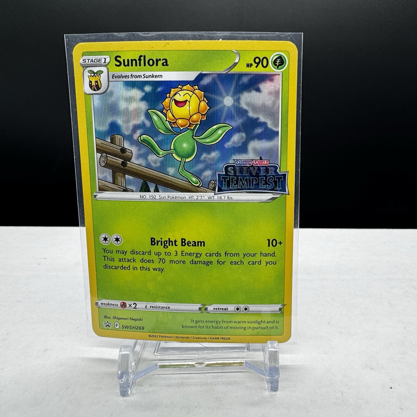 Sunflora SWSH269 Pokemon Silver Tempest Pre Release Black Star Promo Stamped