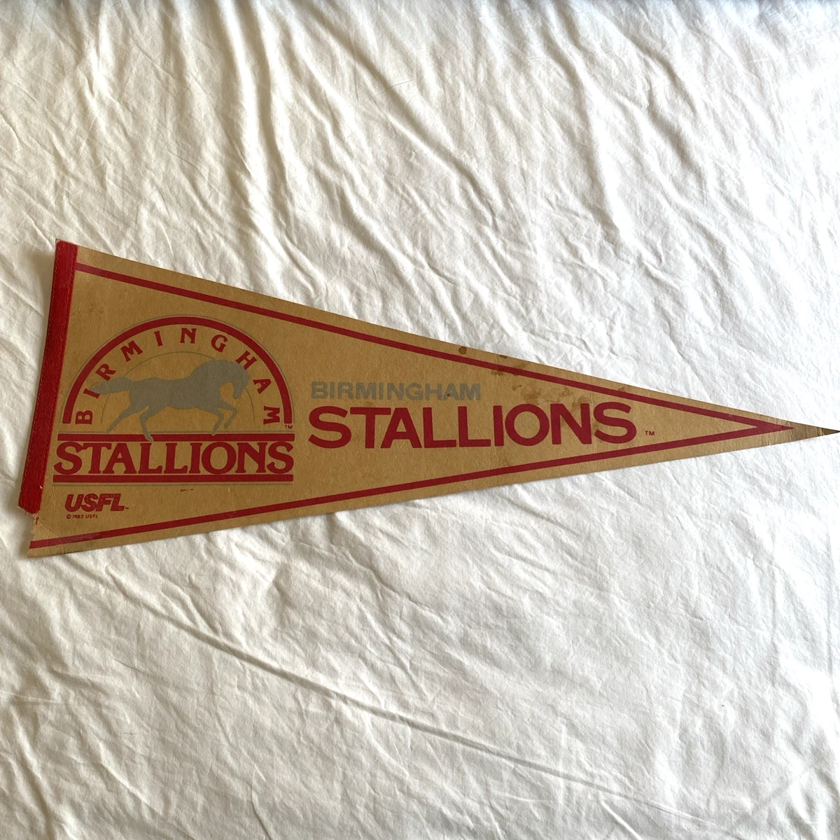 AS Cannes Fanion Officiel Wimpel Match Pennant