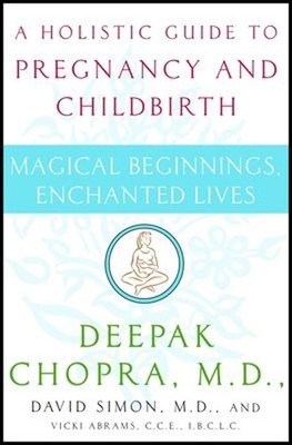 Magical Beginnings, Enchanted Lives : A Holistic Guide to Pregnan