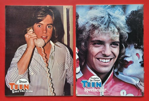 TEEN SPEKTAKULÄR April Juni 1978 Gene Simmons Frampton Cassidy Bay Stadtrollen - Bild 3 von 16