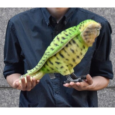 HANSA Kakapo Plush Toy Stuffed Doll Animal Bird Wild Owl Parrot