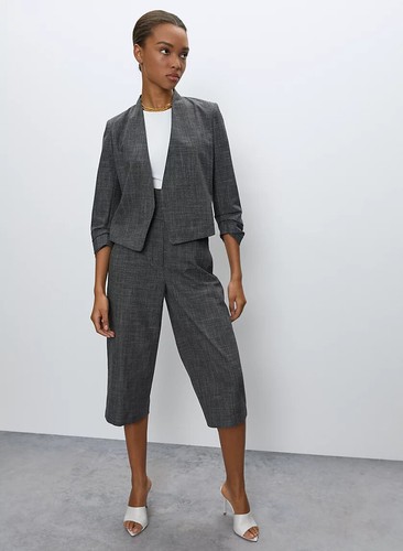 Aritzia BABATON Power Short Crop Blazer 