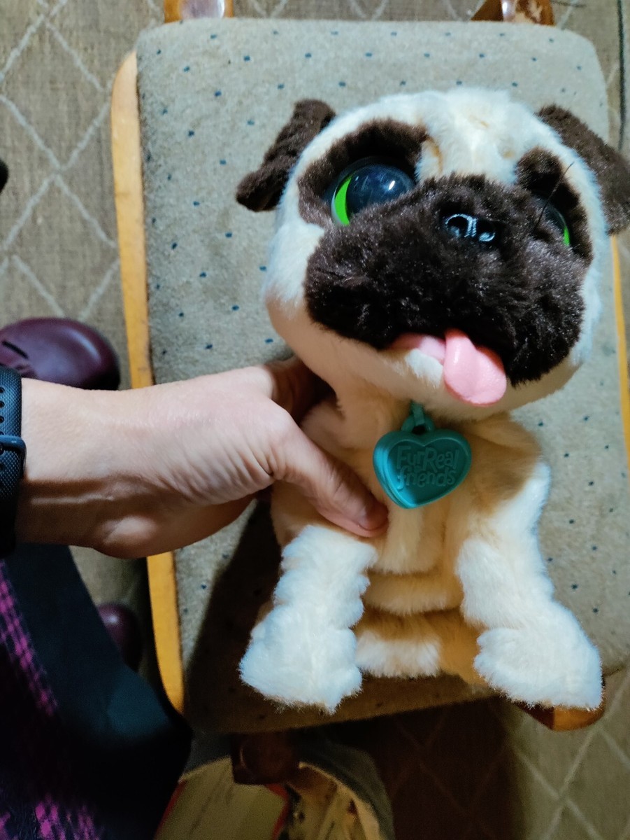 Pug Puppy Dog Plush Furreal Friends Pug Will Greet Adorable