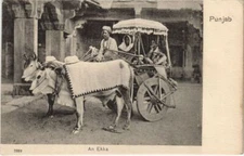 PC PUNJAB AN EKKA INDIA ETHNIC TYPES (a24928)