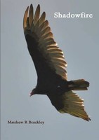 Shadowfire Matthew R Brackley Taschenbuch Kartoniert / Broschiert Englisch 2016