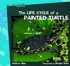 The Life Cycle of a Painted Turtle Library Binding Andrew Hipp
