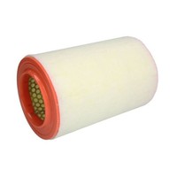 Luftfilter Filtron AR234/6