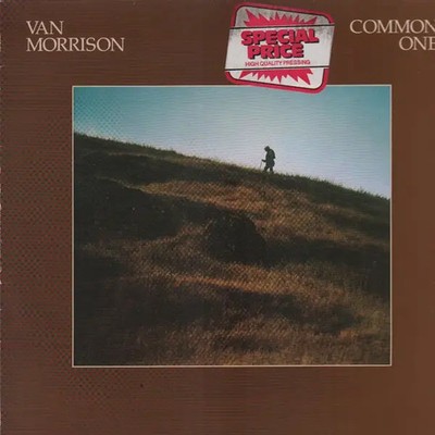 Van Morrison Common One Mercury Vinyl LP