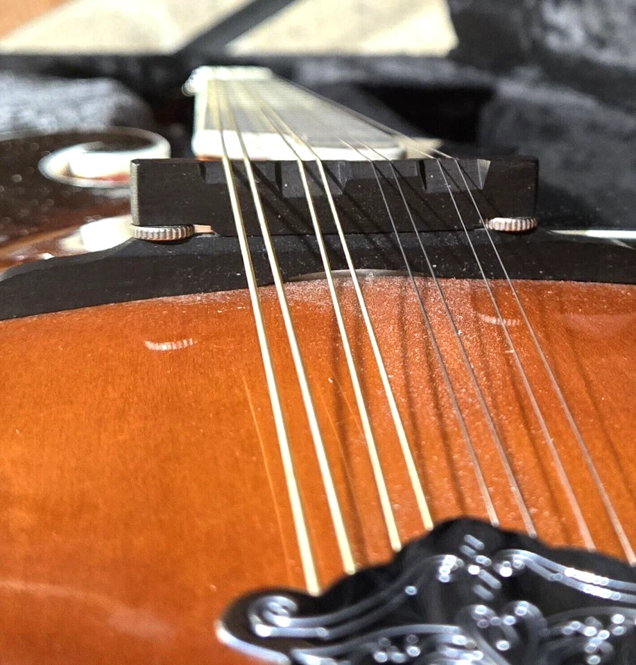 Vintage Savannah SF100 F-Style Mandolin With Rigid Formed/Interior Carrying Case - Image 4 of 4