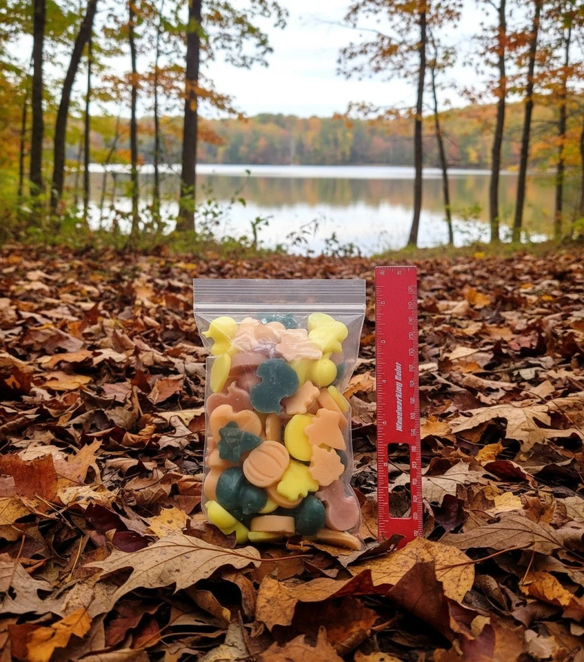 Mother Nature Maximum Scented Wax Derrete 5+ oz Fun Duck, abóbora, formas de folhas. - Imagem 2 de 2