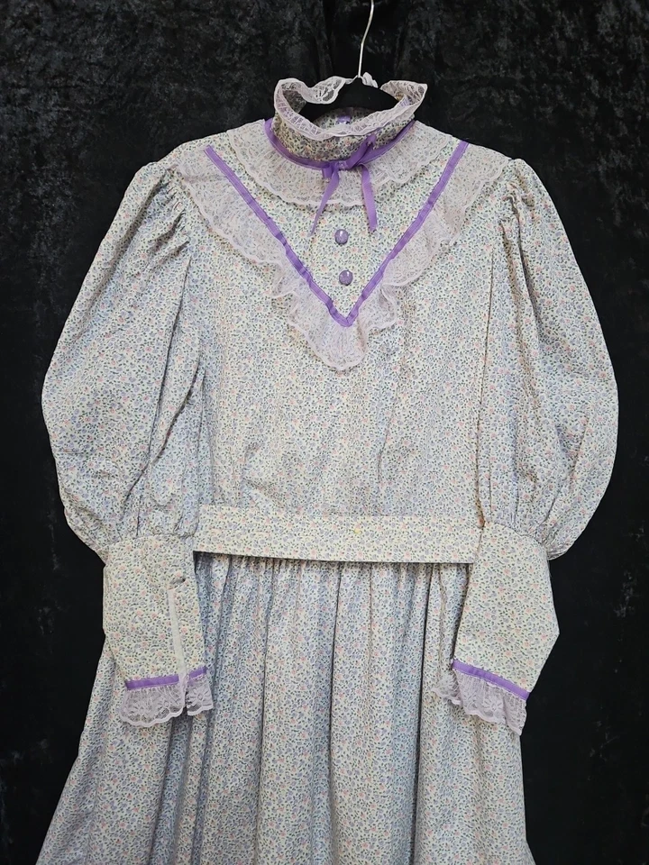 Performance Stage Costume Victorian Dress sizes  BUST 24" WAIST 34" LENGTH 54x - Image 2 of 4