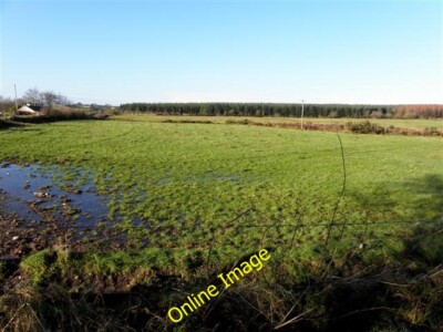 Photo 6x4 Killeenan Townland Drumshanbo/H7378 Looking west c2014