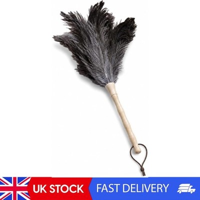 Home Valet Ozzie Straußenfeder Handstaubtuch 45 cm Holzgriff
