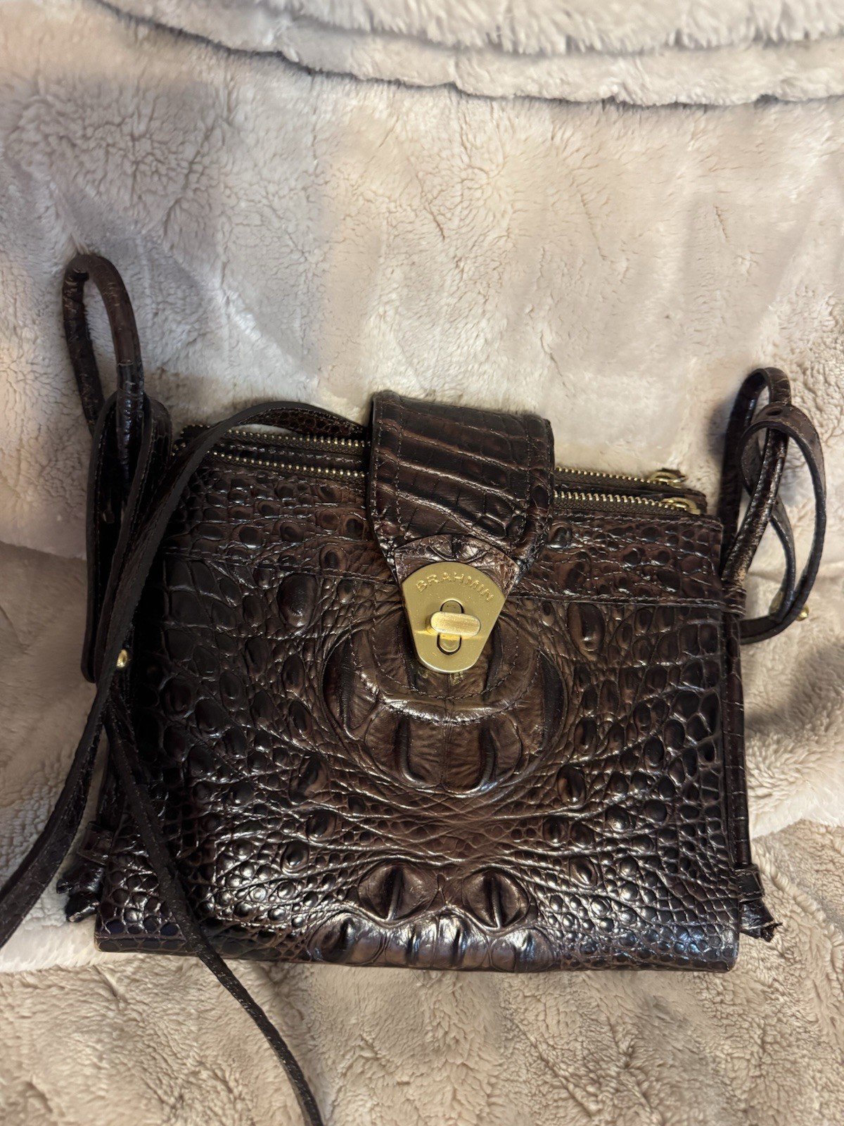 Authentic Brahmin - image 1