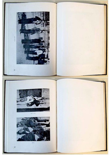 Palestina 1946 HOLOCAUSTO HORRORES LIBRO DE FOTOS JUDÍO Israel JUDAICA hebreo RARO - Imagen 21 de 23