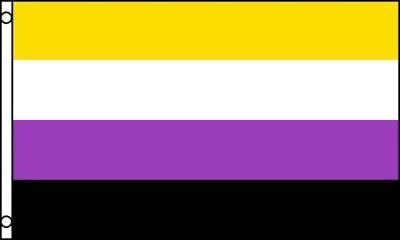 Binary flag non Nonbinary Flag