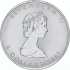 Picture 2 of 3