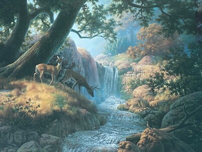 Dalhart Windberg, Symphony of the Wilderness, Limited Edition