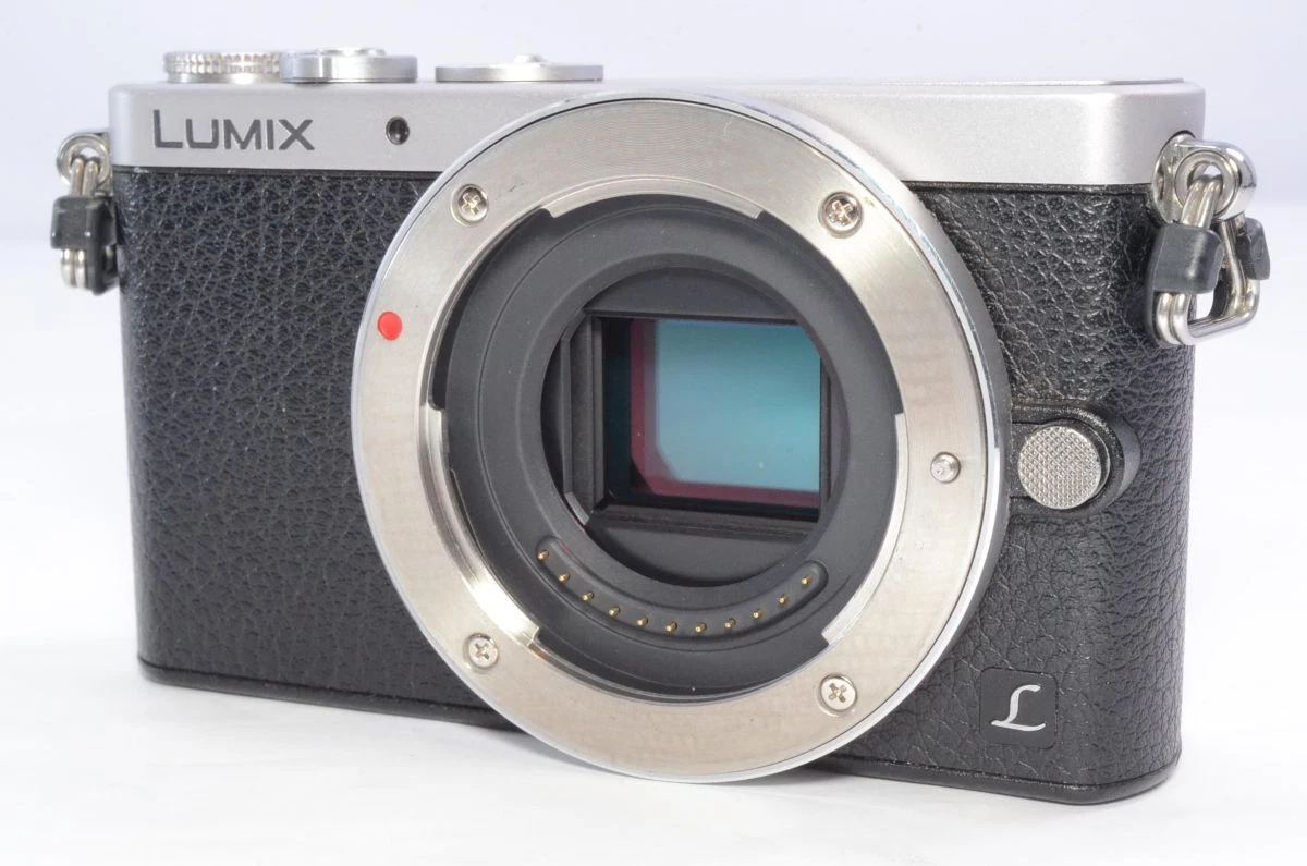 Panasonic LUMIX GM1 14-16.9MP Digital Cameras for Sale | Shop New