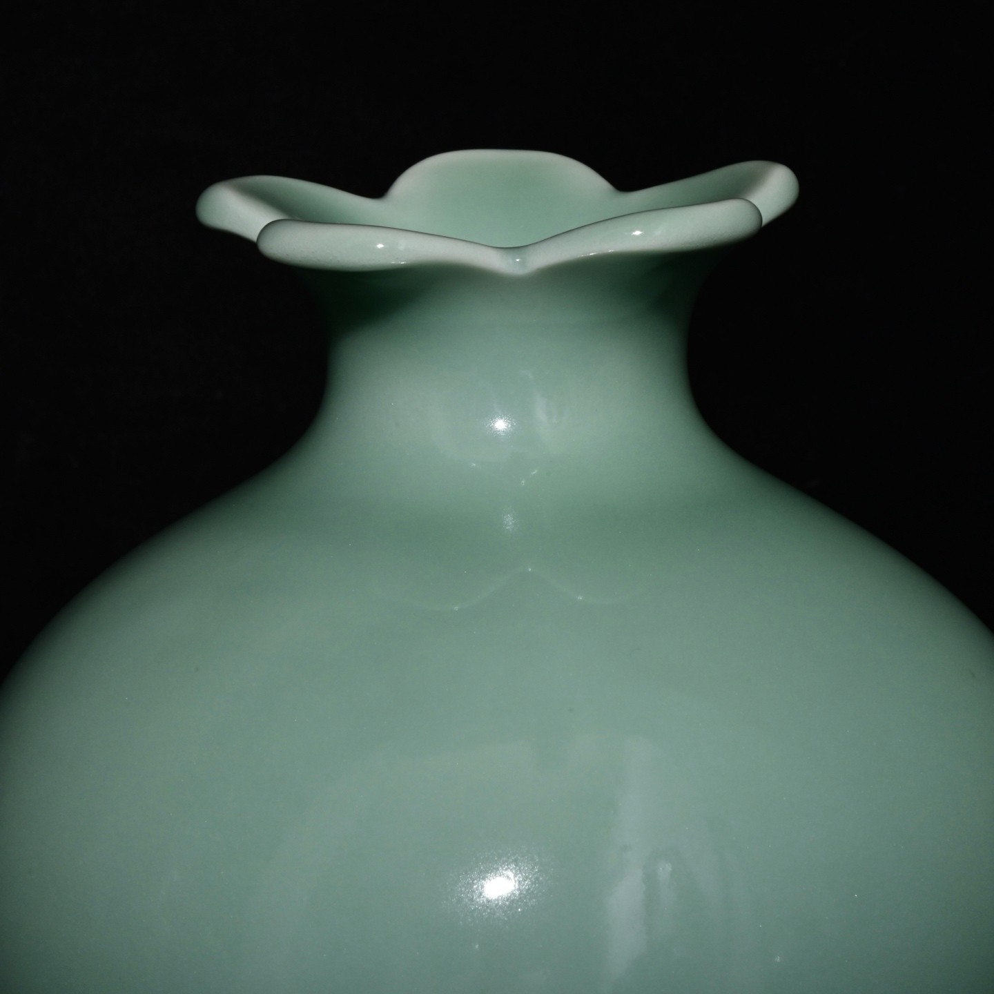 A Pair Nice Chinese Art Handmade Painting Monochrome Glaze Porcelain Vase