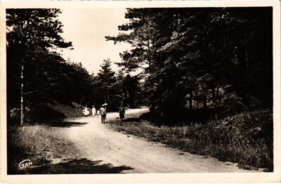 Old postcard SABLES-d'OR-les-PINS Ronde des Bois d'Amour (1295248)