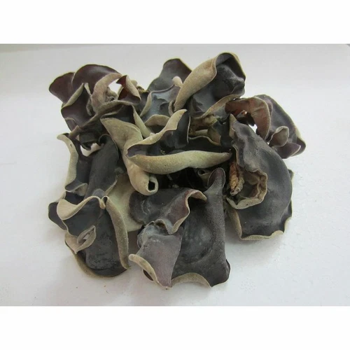 Dried Mushroom Black Fungus Wood Ear Black Jelly Mushroom Waxy ear Healthy 2.5oz