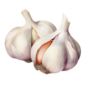 Garlic Vegetable Self Adhesive Waterproof Sticker