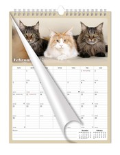 2027 Wall Calendar Spiral-bound Twin - 12 Months Planner 8.5" x 11" Cats