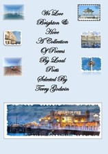 We Love Brighton and Hove By Godwin, Terry Terry Godwin,
