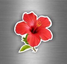 Autocollant sticker voiture moto biker hibiscus plante arbre fleur r9