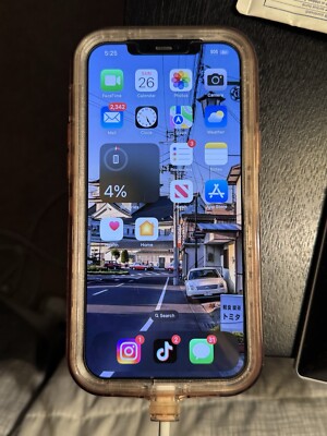 iPhone 12 Pro Max (TikTok Installed) 