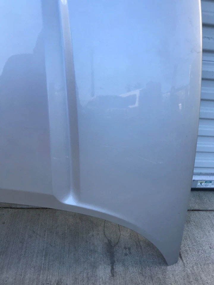 Dodge Dakota Hood 2005 2006 2007 OEM solo recogida local Foto 3 de 4