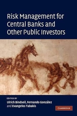 Risk Management for Central Banks and Other Public Investors by Ulrich Bindseil