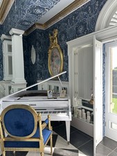 Self Playing Piano