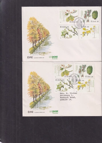 Ireland 1984 Irish Trees choice First Day Cover FDC