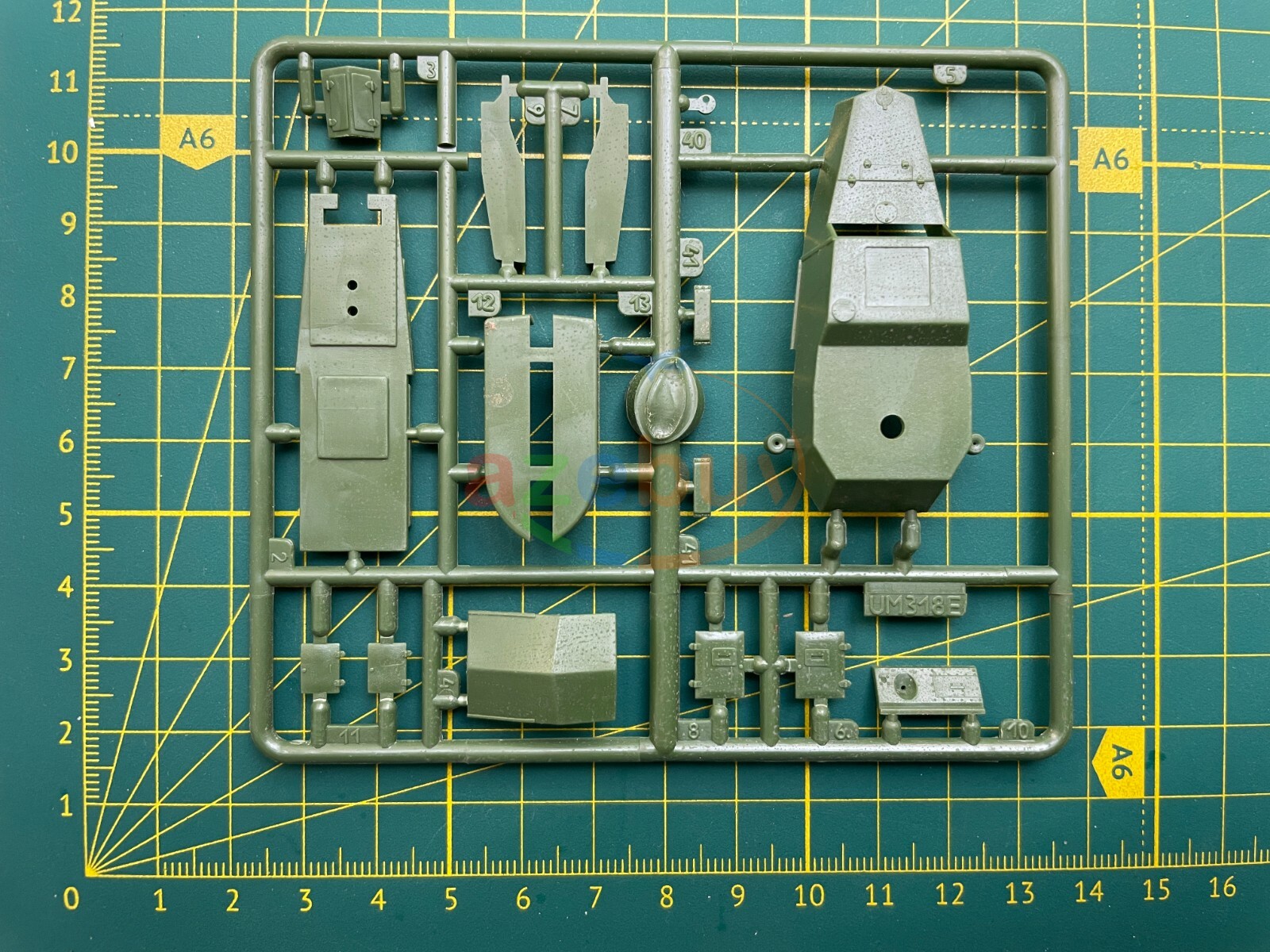 Picture 6 of 12