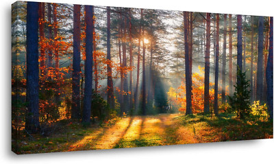 Autumn Forest Canvas Wall Art for Living Room, 20x40 In Morning Sunlight Decor
