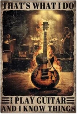  Vintage Guitar Tin Metal Signs 8x12 In, Thats What I Do I Play Guitar and