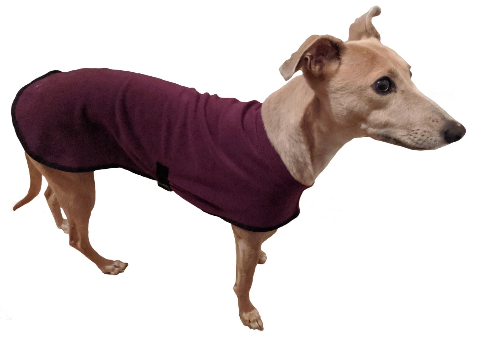 HOTTER dog Water Repellent Winter Fleece Warm Dog Coat by Equafleece 3