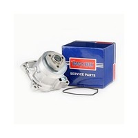 Skoda Rapid 2012-2022 Wasserpumpe Borg & Beck BWP2260