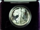 1989-S Proof American Silver Eagle – Beautiful Eye Appeal – Free US Shipping