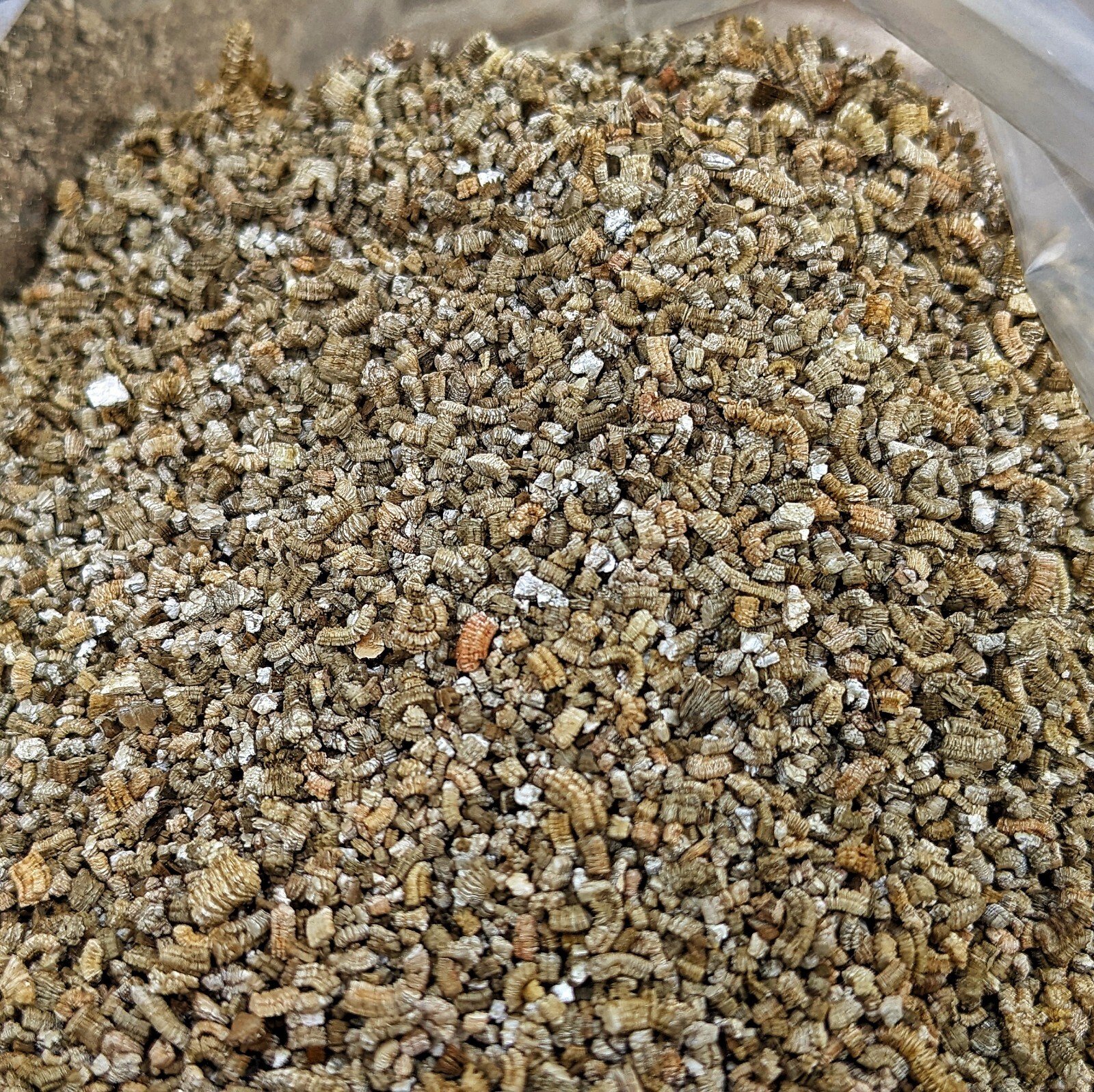 [0,70€/l] 10 L Vermiculite fein, 23 mm Inkubator, Fleischfressende