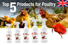 HEN PECKED Red Mite Solution Red Mite Control Poultry/Chickens - FREE DELIVERY