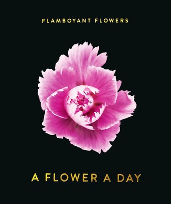 Flamboyant Flowers | A Flower A Day | Nicolas Meriel | Kalender | 370 S.
