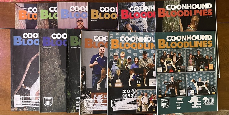 COONHOUND BLOODLINES magazine 12 issues Jan-Dec 2020 #CB2