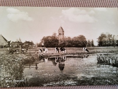Mooi, Friesland - 1959 - Idaard - ungelaufen