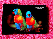 ROCKHAMPTON GREETING WITH RAINBOW LORIKEETS QUEENSLAND COLOUR POSTCARD [427]