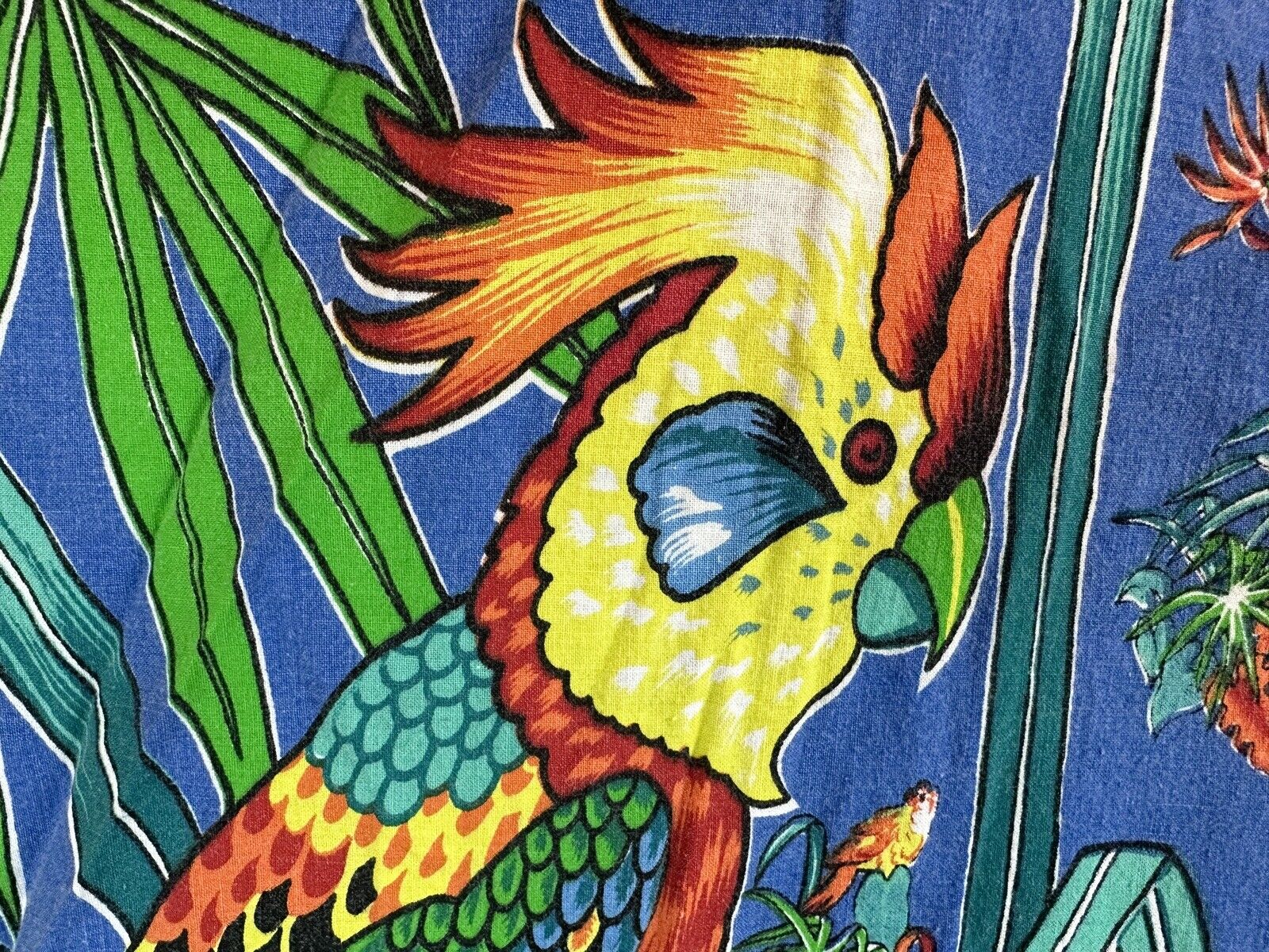 Picture 9 of 13