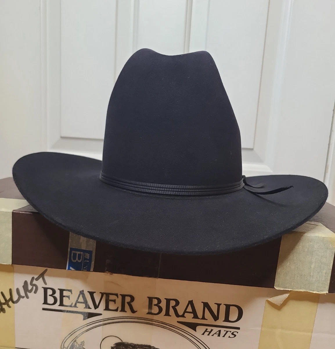 Bailey 4Xビーバーフェルト テンガロンハット ガラガラ蛇のバンド付 Bailey Black Hats for Men for sale | eBay